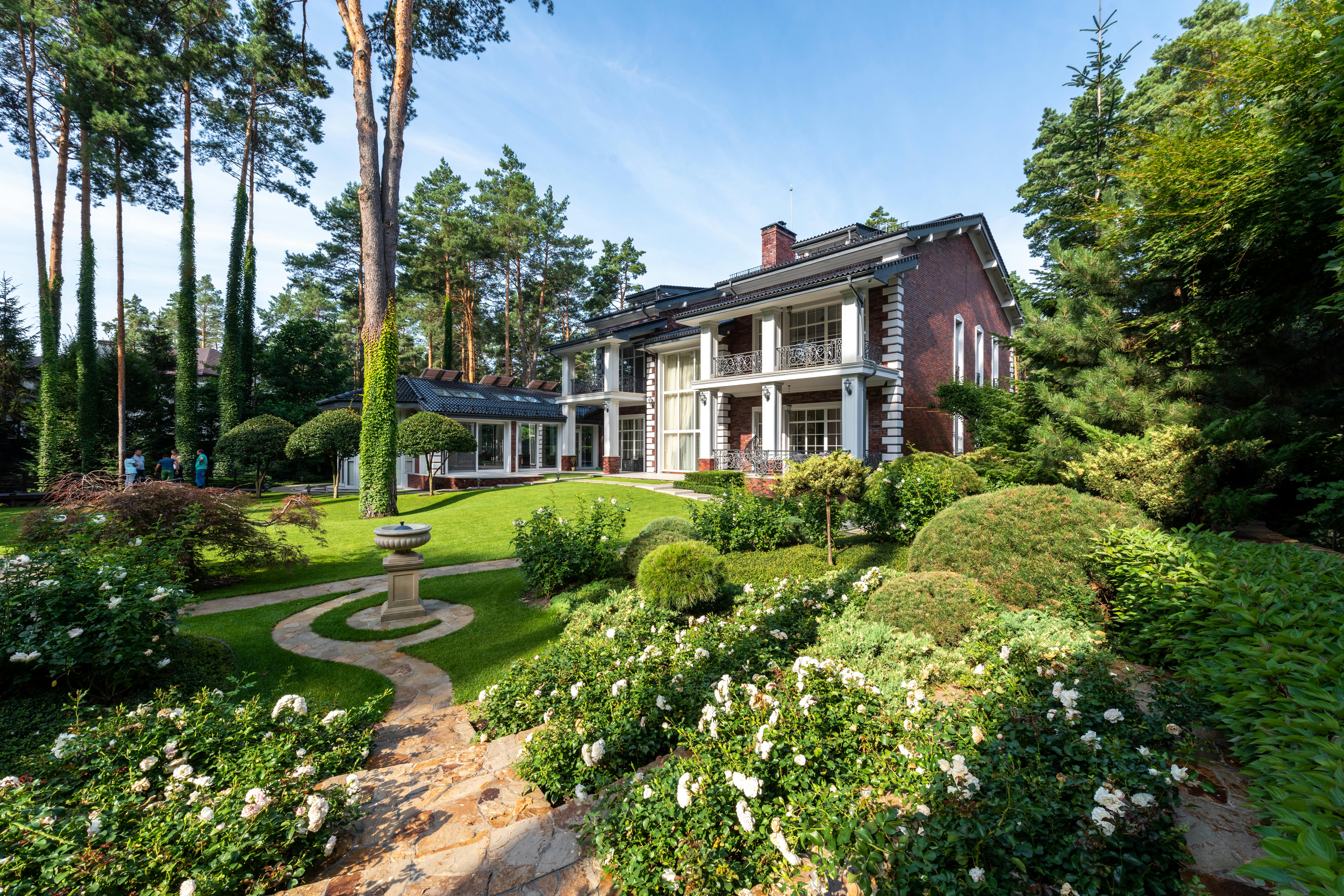 Sweeping manicured front lawn with mature pines and shaped hedges