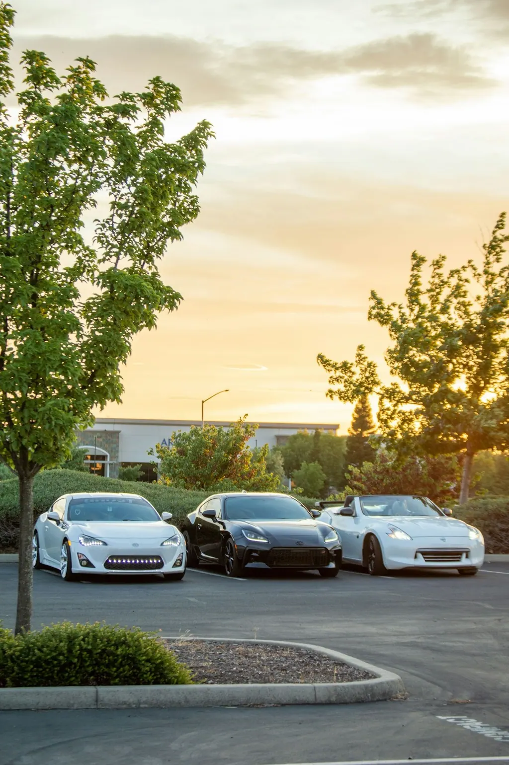 Sports cars lined up at a community cars and coffee event
